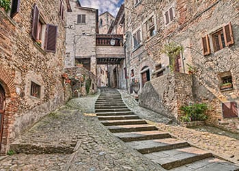 Trapper i Arezzo