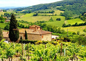 Vingårde i Chianti