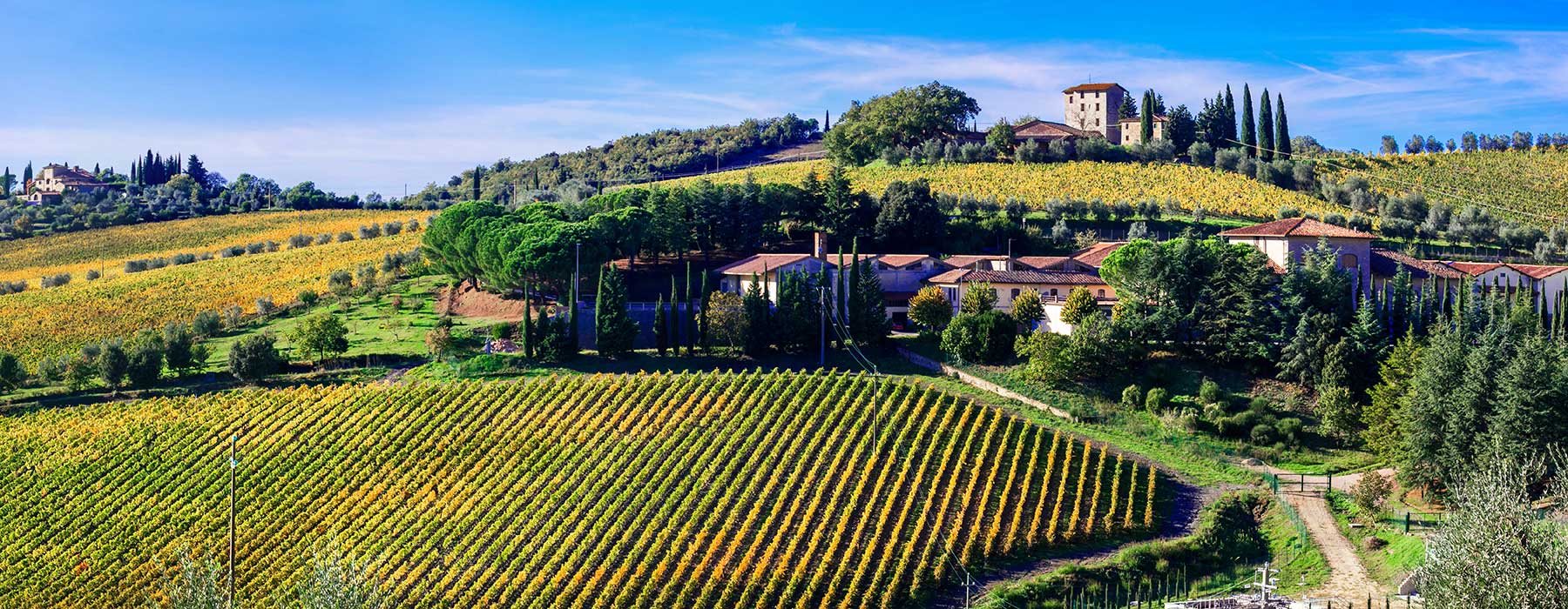 Chianti området i Toscana
