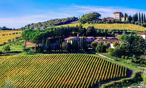 Ferie i Chianti