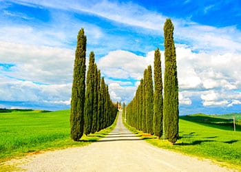 Montepulciano
