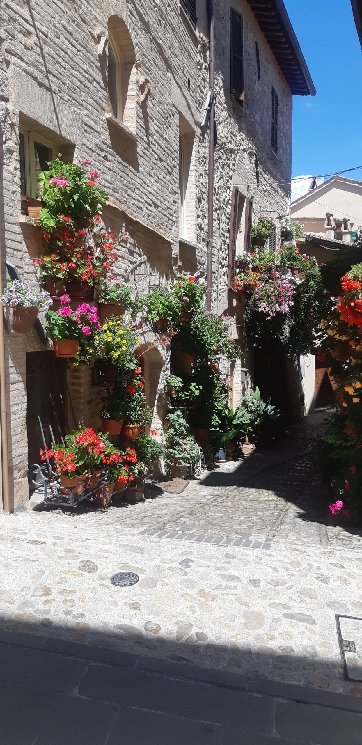 Spello i Umbrien