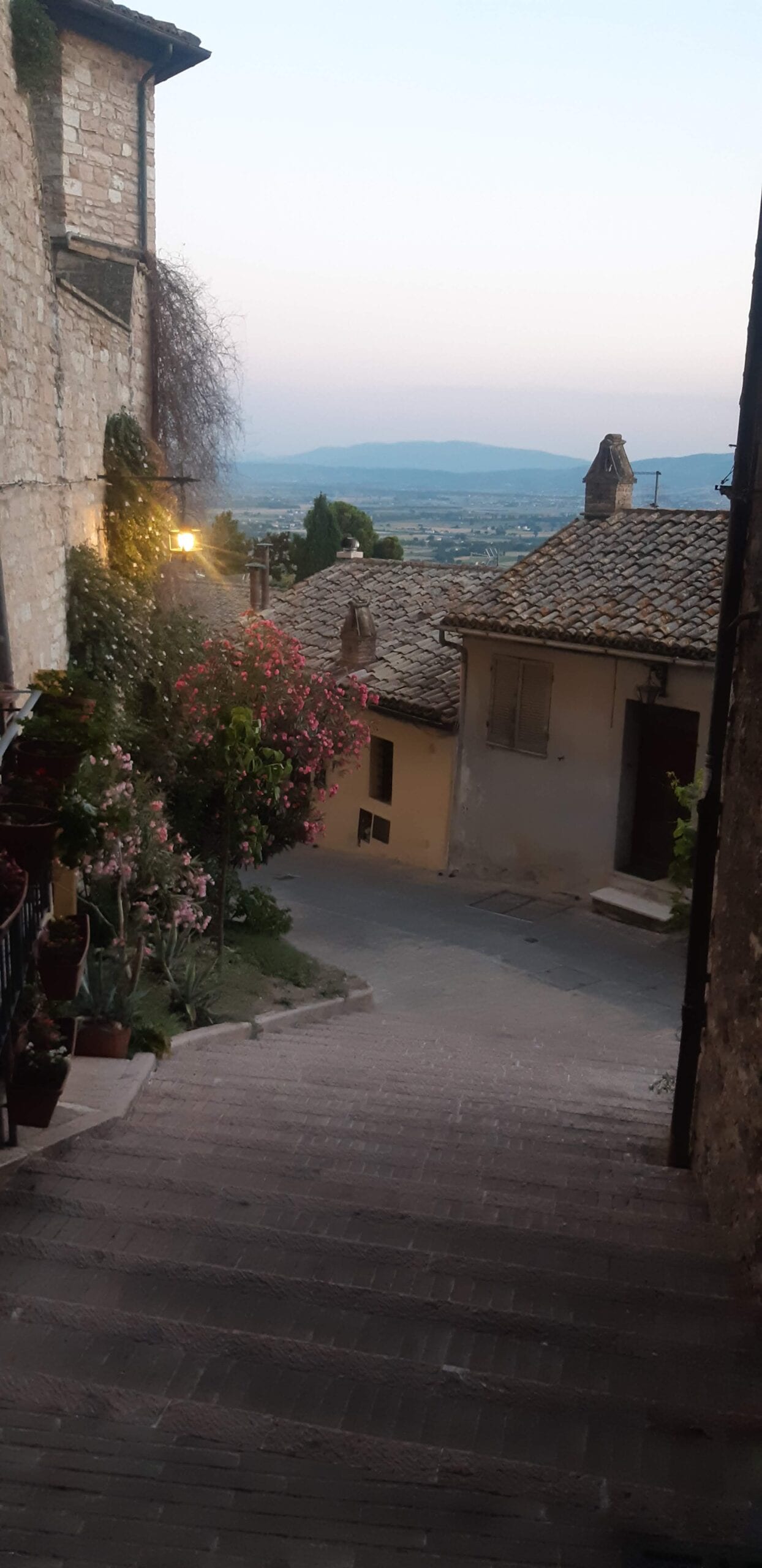 assisi