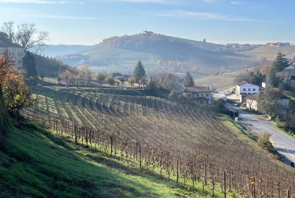 Langhe-Roero i Piemonte