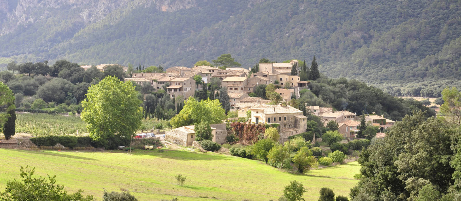 Skønne feriehuse i Toscana