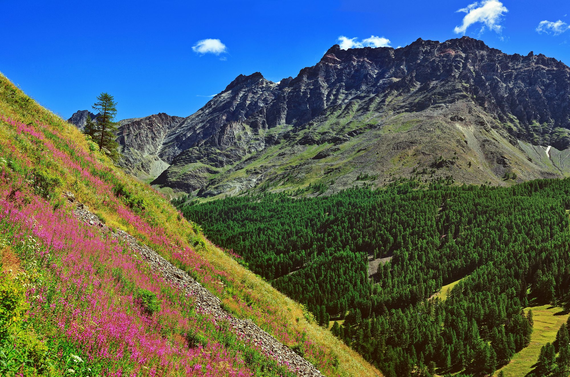 Gran Paradiso nationalpark i Aosta