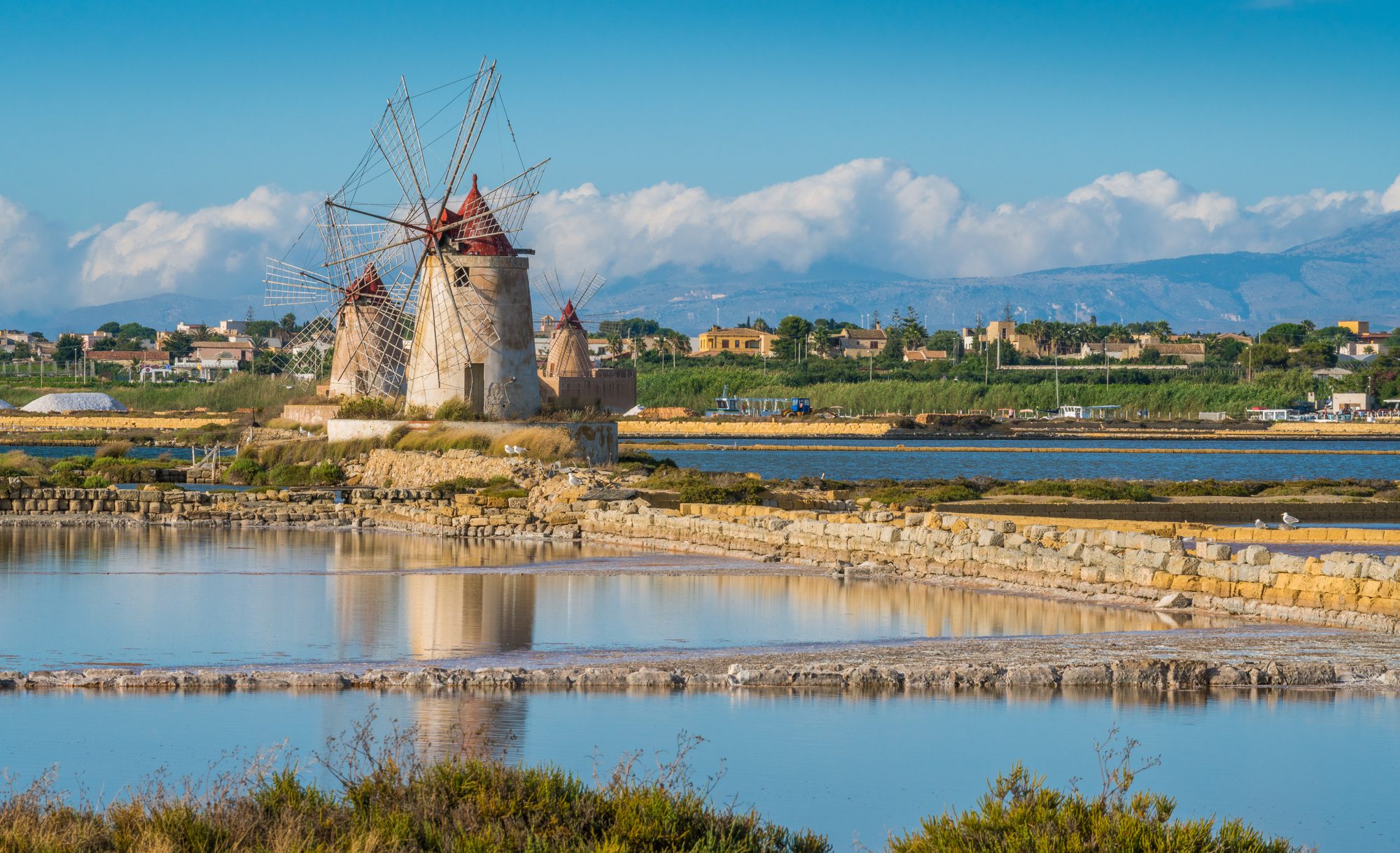 Marsala