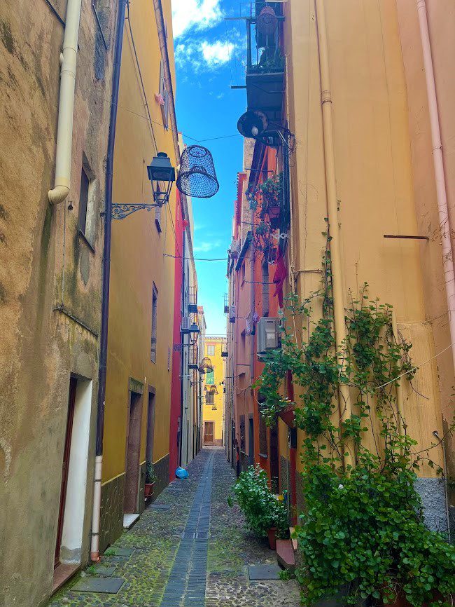 Bosa
